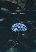Fleur bleue pour vos sinc&egrave;res remerciements